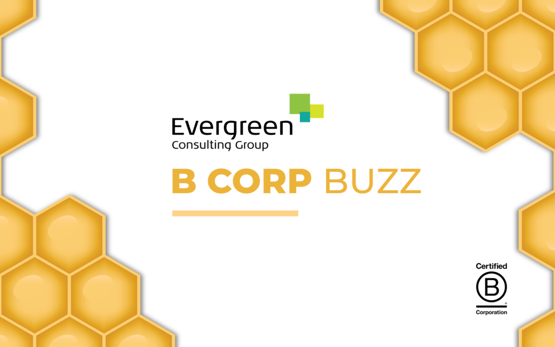 B Corp Buzz – July 2021