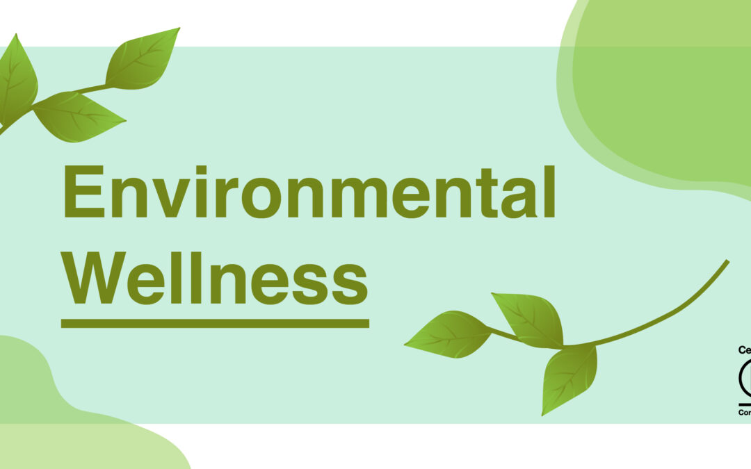 Understanding Environmental Wellness